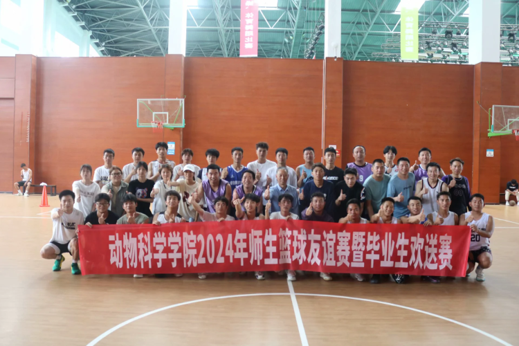 图片5 图片5